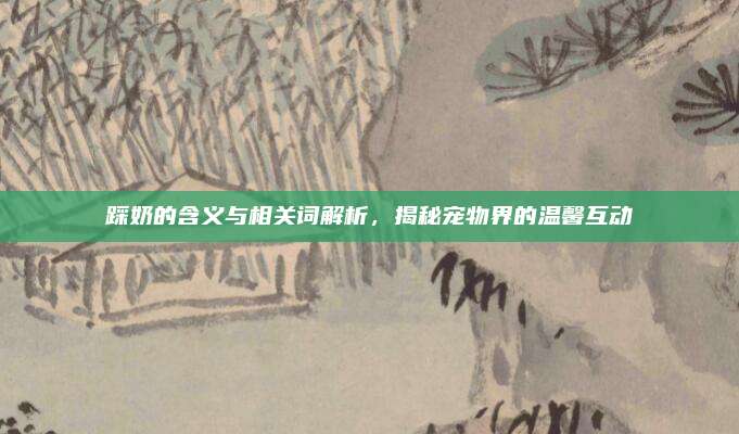 踩奶的含义与相关词解析，揭秘宠物界的温馨互动
