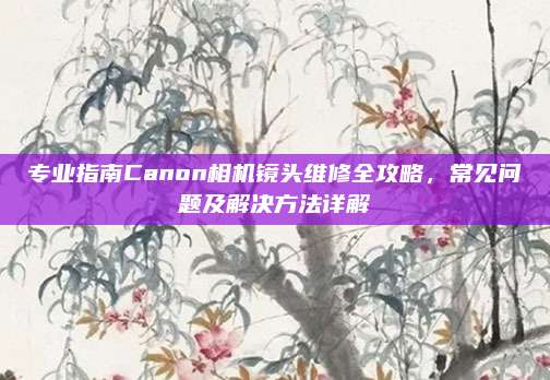 专业指南Canon相机镜头维修全攻略，常见问题及解决方法详解