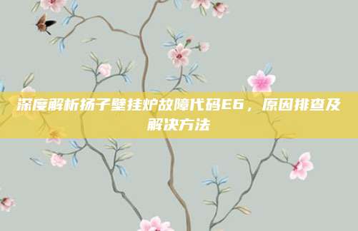 深度解析扬子壁挂炉故障代码E6，原因排查及解决方法