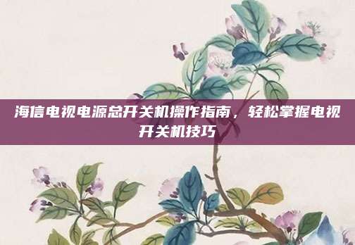 海信电视电源总开关机操作指南，轻松掌握电视开关机技巧