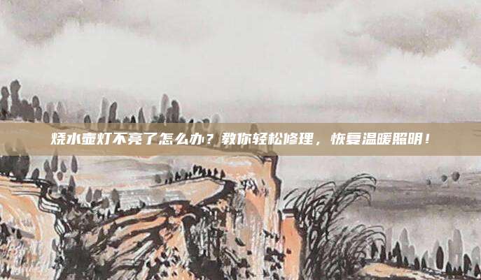 烧水壶灯不亮了怎么办？教你轻松修理，恢复温暖照明！