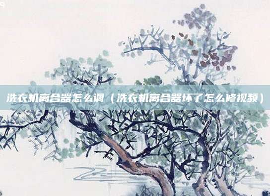 洗衣机离合器怎么调（洗衣机离合器坏了怎么修视频）