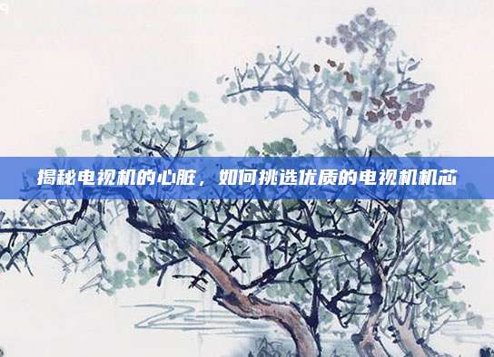 揭秘电视机的心脏，如何挑选优质的电视机机芯