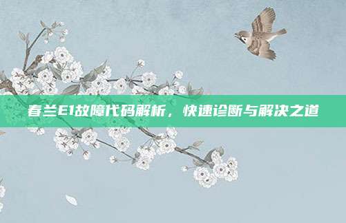 春兰E1故障代码解析，快速诊断与解决之道
