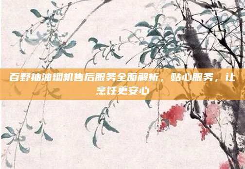 百野抽油烟机售后服务全面解析，贴心服务，让烹饪更安心