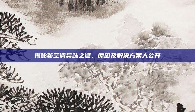 揭秘新空调异味之谜，原因及解决方案大公开