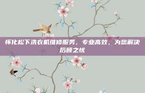 怀化松下洗衣机维修服务，专业高效，为您解决后顾之忧