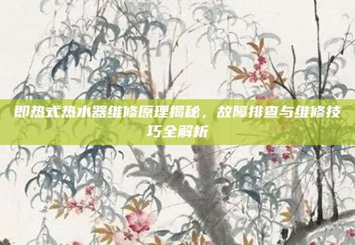 即热式热水器维修原理揭秘，故障排查与维修技巧全解析
