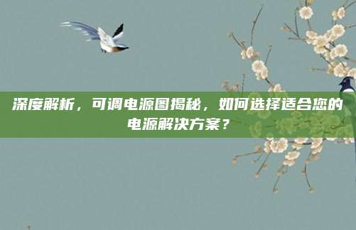深度解析，可调电源图揭秘，如何选择适合您的电源解决方案？