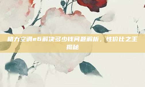 格力空调e6解决多少钱问题解析，性价比之王揭秘
