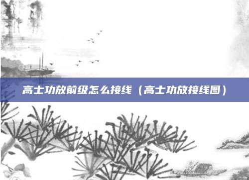 高士功放前级怎么接线（高士功放接线图）