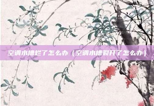 空调水槽烂了怎么办（空调水槽裂开了怎么办）