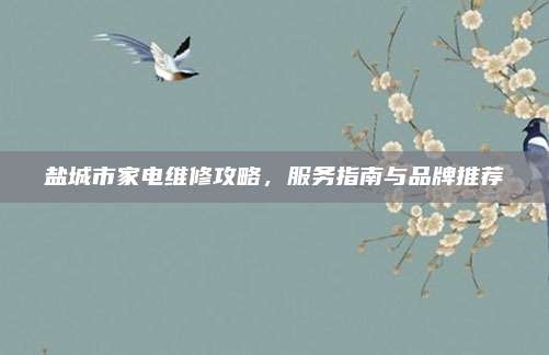 盐城市家电维修攻略,服务指南与品牌推荐