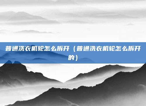 普通洗衣机轮怎么拆开（普通洗衣机轮怎么拆开的）