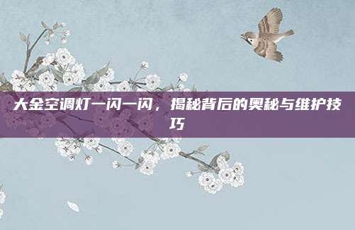 大金空调灯一闪一闪,揭秘背后的奥秘与维护技巧