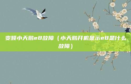 变频小天鹅e8故障（小天鹅开机显示e8是什么故障）