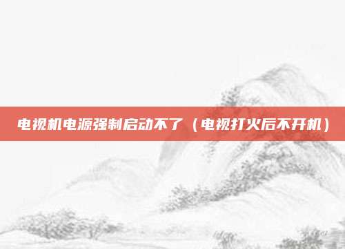 电视机电源强制启动不了（电视打火后不开机）