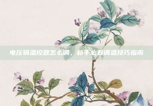 电压锅温控器怎么调,新手必看调温技巧指南