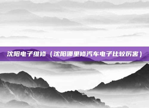 沈阳电子维修（沈阳哪里修汽车电子比较厉害）