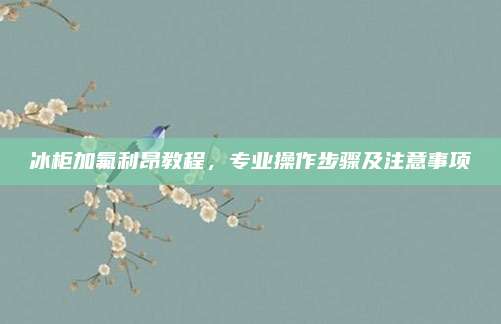 冰柜加氟利昂教程，专业操作步骤及注意事项
