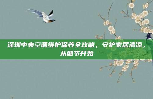 深圳中央空调维护保养全攻略，守护家居清凉，从细节开始