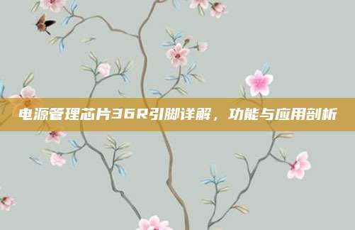 电源管理芯片36R引脚详解，功能与应用剖析
