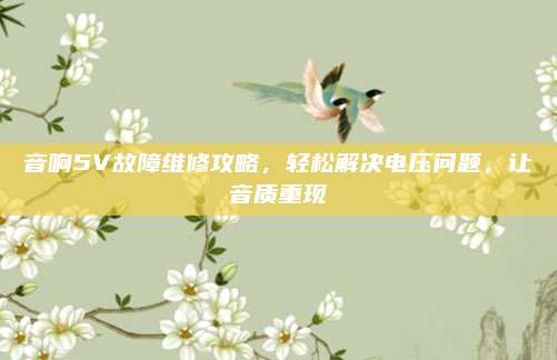 音响5V故障维修攻略，轻松解决电压问题，让音质重现
