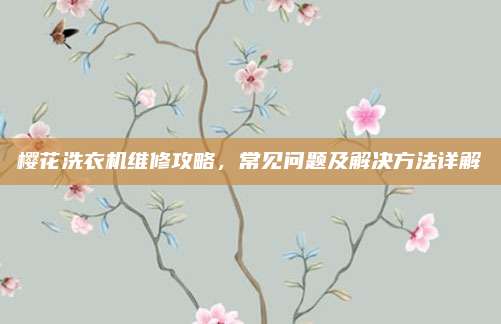 樱花洗衣机维修攻略，常见问题及解决方法详解