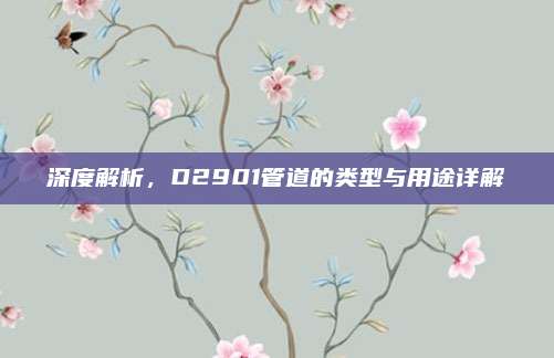 深度解析,D2901管道的类型与用途详解