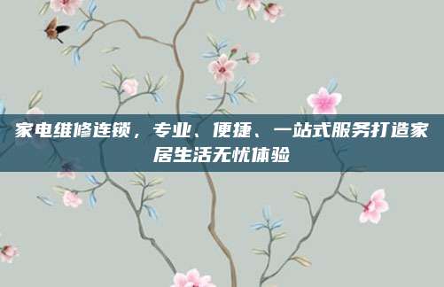 家电维修连锁，专业、便捷、一站式服务打造家居生活无忧体验
