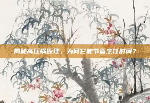 揭秘高压锅原理，为何它能节省烹饪时间？