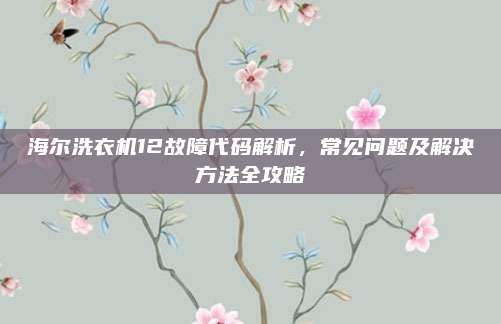 海尔洗衣机12故障代码解析，常见问题及解决方法全攻略