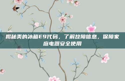 揭秘美的冰箱E9代码，了解故障信息，保障家庭电器安全使用