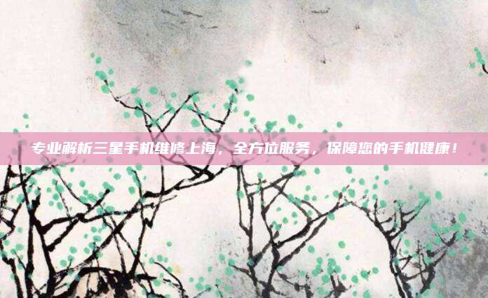 专业解析三星手机维修上海,全方位服务,保障您的手机健康!