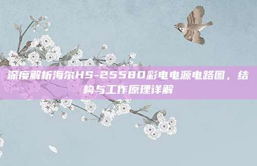 深度解析海尔HS-2558D彩电电源电路图，结构与工作原理详解