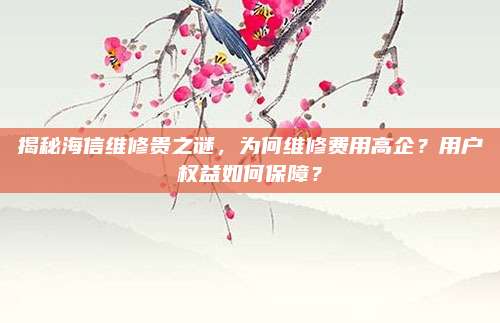 揭秘海信维修贵之谜，为何维修费用高企？用户权益如何保障？