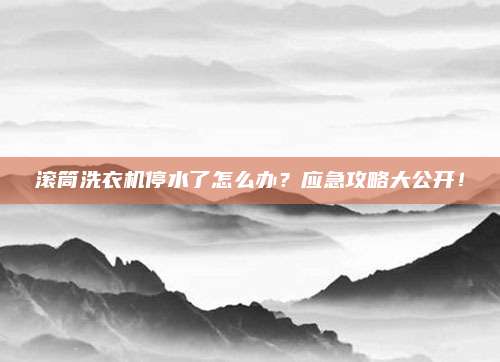 滚筒洗衣机停水了怎么办?应急攻略大公开!