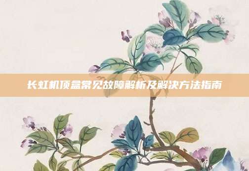 长虹机顶盒常见故障解析及解决方法指南
