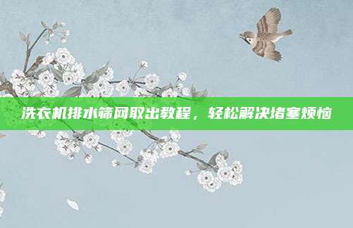 洗衣机排水筛网取出教程，轻松解决堵塞烦恼