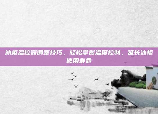 冰柜温控器调整技巧，轻松掌握温度控制，延长冰柜使用寿命