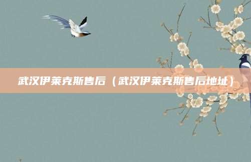 武汉伊莱克斯售后(武汉伊莱克斯售后地址)