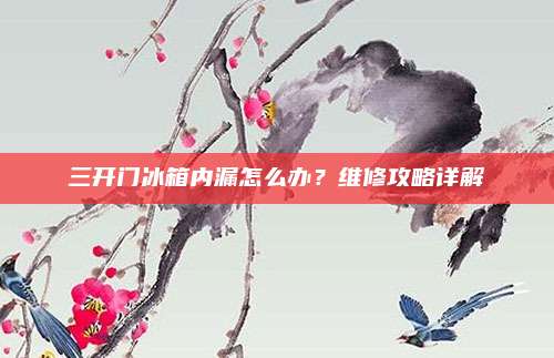三开门冰箱内漏怎么办?维修攻略详解