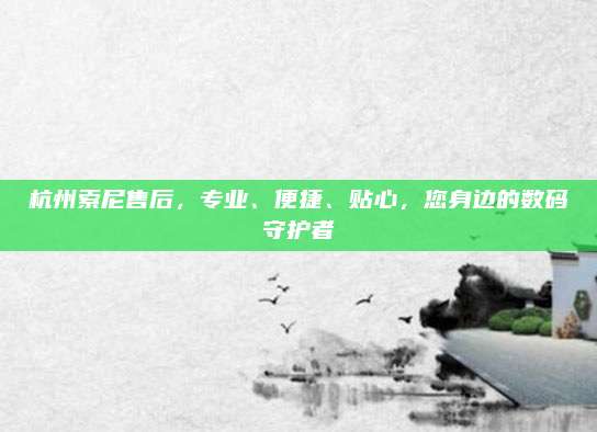 杭州索尼售后，专业、便捷、贴心，您身边的数码守护者