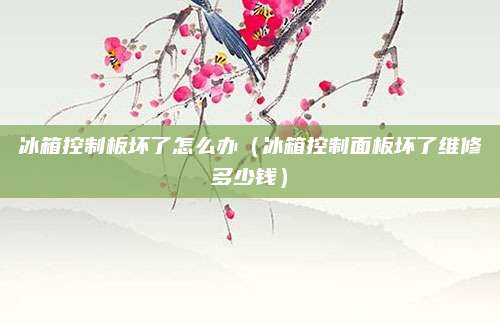 冰箱控制板坏了怎么办（冰箱控制面板坏了维修多少钱）