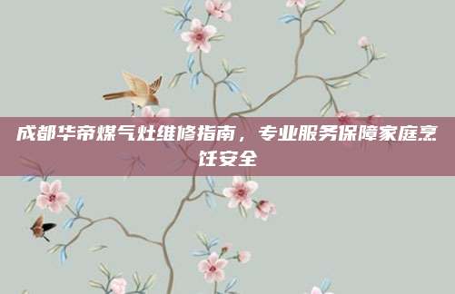 成都华帝煤气灶维修指南，专业服务保障家庭烹饪安全