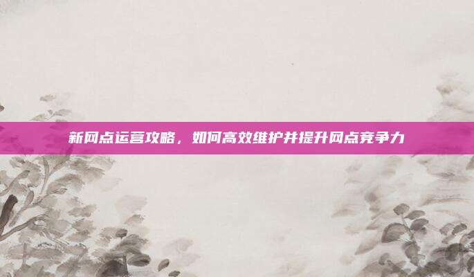 新网点运营攻略，如何高效维护并提升网点竞争力