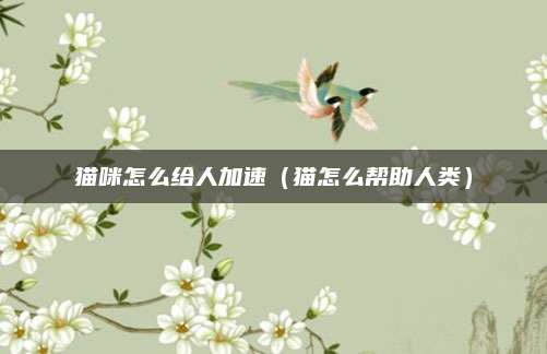 猫咪怎么给人加速(猫怎么帮助人类)