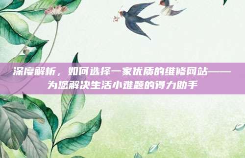 深度解析，如何选择一家优质的维修网站——为您解决生活小难题的得力助手