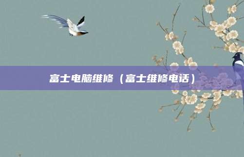 富士电脑维修(富士维修电话)