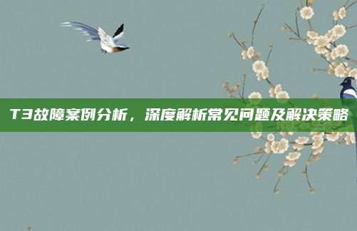 T3故障案例分析，深度解析常见问题及解决策略